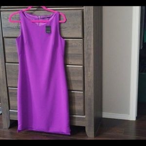 Tahari purple dress NWT